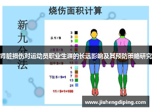 肾脏损伤对运动员职业生涯的长远影响及其预防策略研究